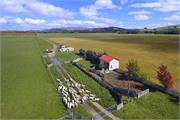 Chris Daniels drone aerial photography 01